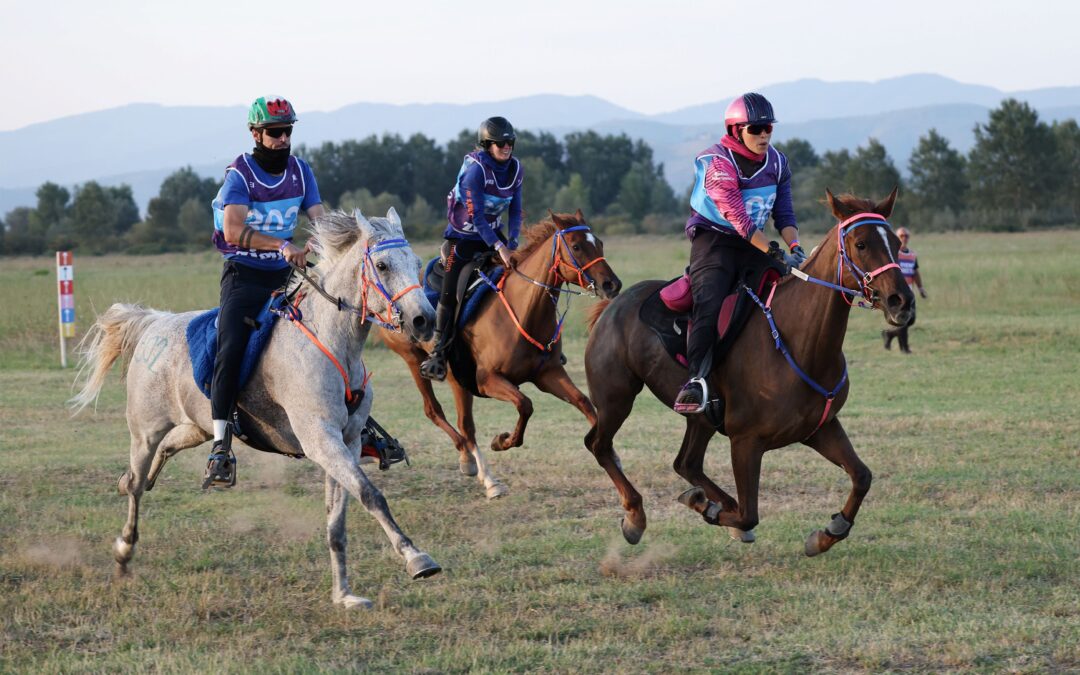 Costanza Laliscia porta l’Italia sul gradino più alto del podio dello Zigulí Test Event FEI Endurance European Championship